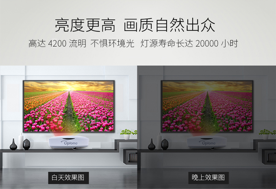 LC2-900_04 fb
